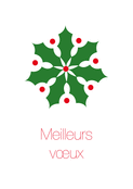 Houx graphique pour des v&oelig;ux festifs 2026